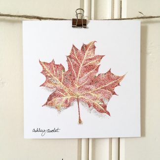 'Autumn Maple' print