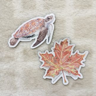 Magnet Bundle