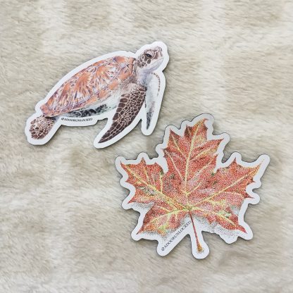 Magnet Bundle