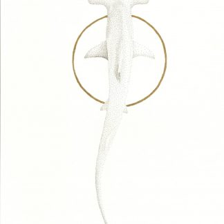 Hammerhead Shark
