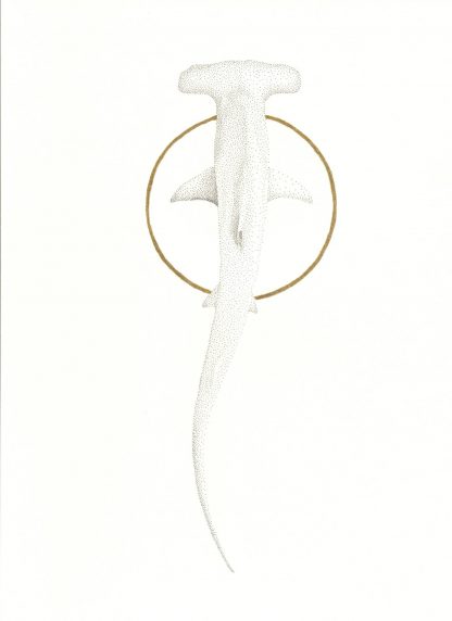 Hammerhead Shark